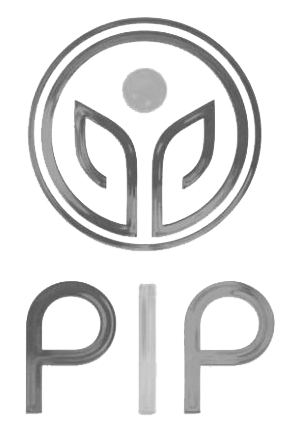 PiP-international-logo-grey