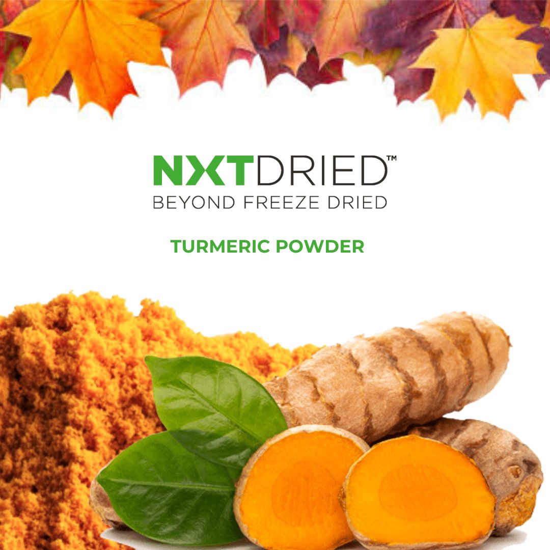 REV Dried Thanksgiving Recipe NXTDRIED Turmeric Powder