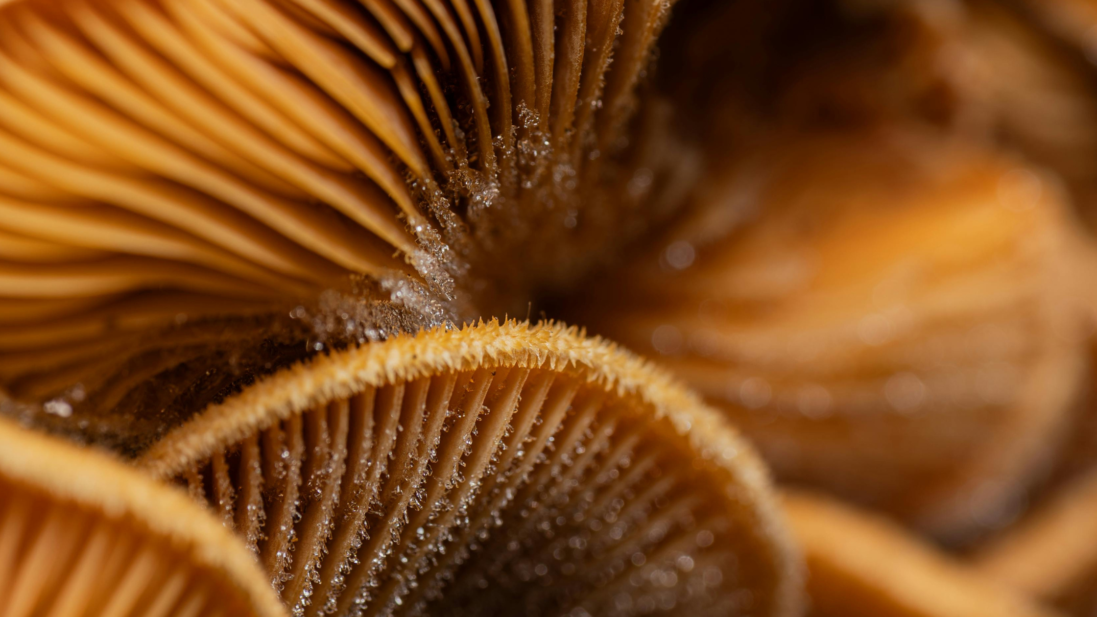 The latest from our blog