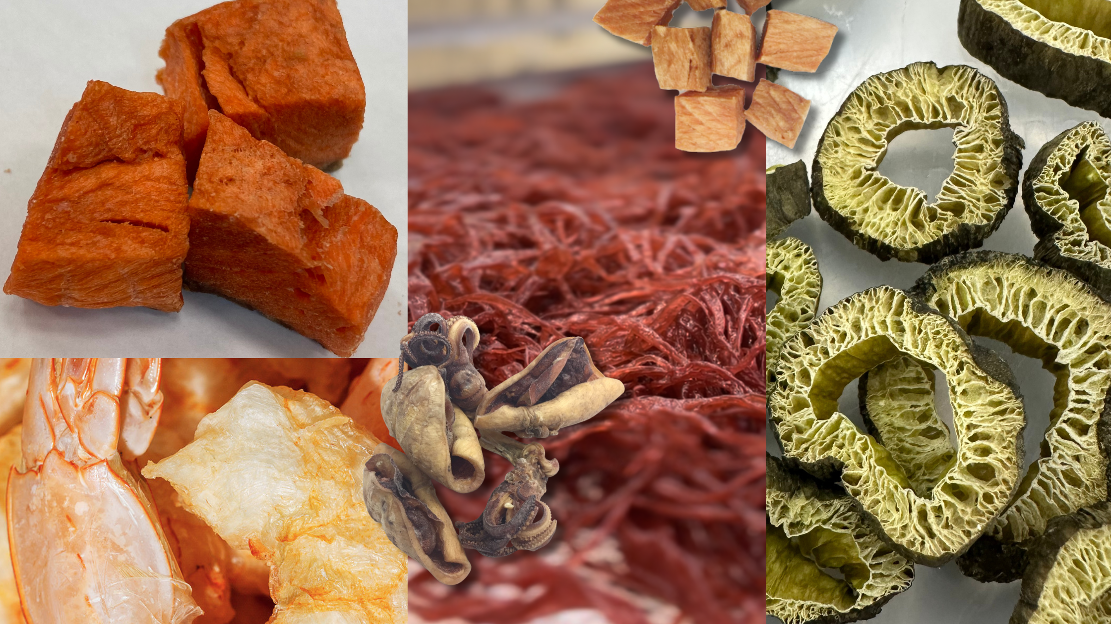 The latest from our blog